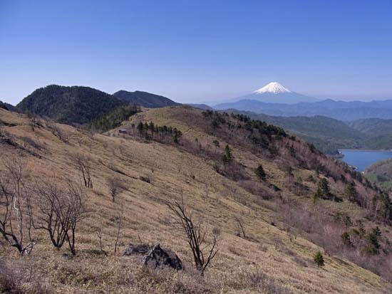 b0032444_10321651.jpg