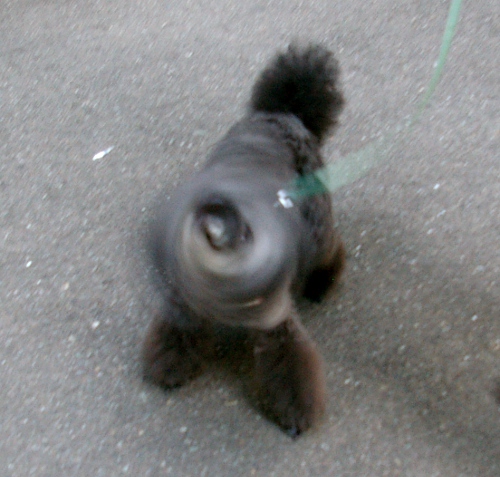 d0026745_3585912.jpg