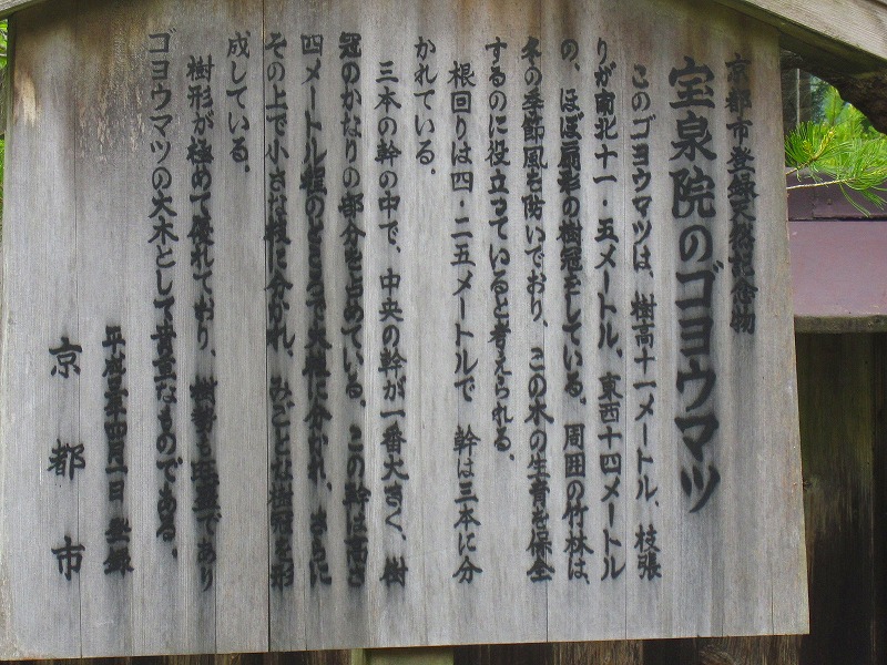 e0237645_22214253.jpg