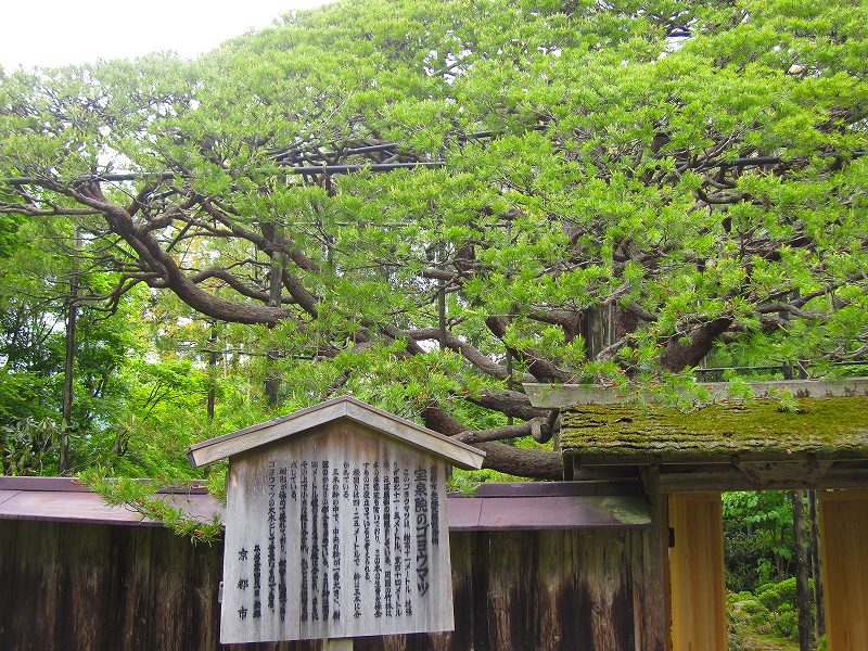e0237645_22221160.jpg