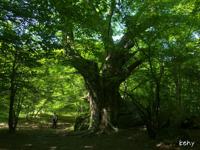 クボ新道を登っテミタ♪_e0151447_19525940.jpg