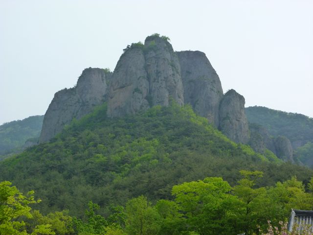 第2回青松郡友好訪問団(旅行)短信_a0279848_8404126.jpg