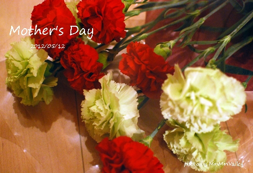 ►Mother\'s　Day_a0219850_619582.jpg