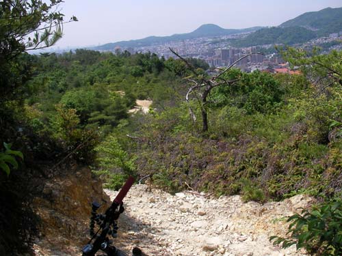 d0144550_2028872.jpg