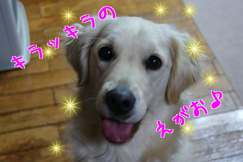 c0214455_2342657.png