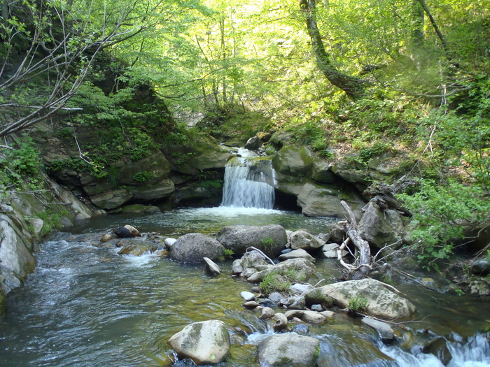 d0162663_15539.jpg