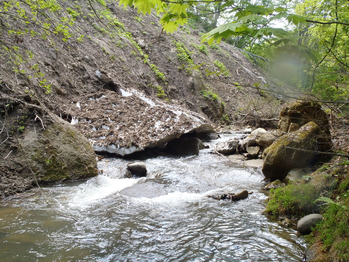 d0162663_18330.jpg