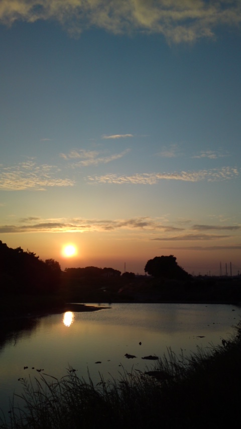 久しぶりの夕陽と田んぼ_e0136066_9352752.jpg