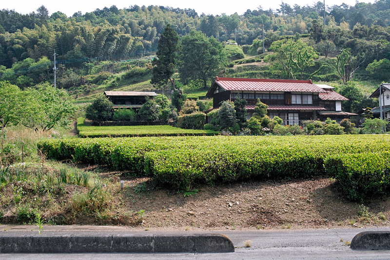 天目指（あまめざし）峠へ・まずは山王峠 2012年5月20日_d0123571_23171161.jpg