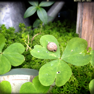 d0225174_19281159.png