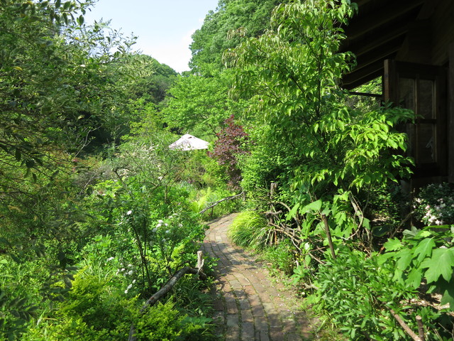 ターシャの庭・花フェスタ記念公園_e0233674_1633997.jpg