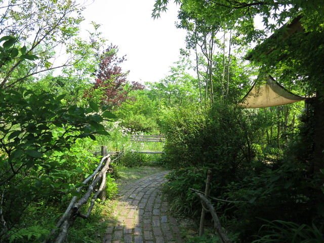 ターシャの庭・花フェスタ記念公園_e0233674_16353280.jpg