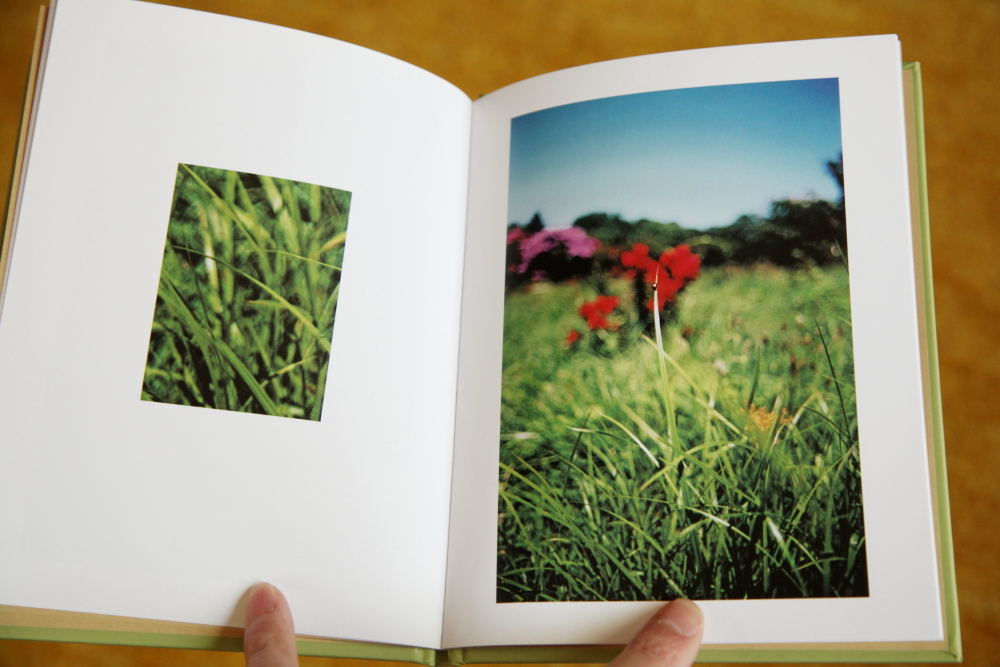NEW限定品】 Some Insects Terri Weifenbach sitedev.minifinder.se