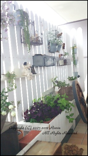 素敵な寄せ植えと ベランダガーデンの憂鬱ΣΣ(・ω´・lll) _e0237680_17401840.jpg