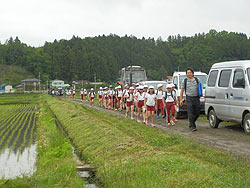 田植え体験(緑ヶ丘小・北郷小)_d0247484_15202954.jpg