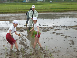田植え体験(緑ヶ丘小・北郷小)_d0247484_1529577.jpg