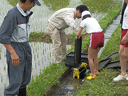 田植え体験(緑ヶ丘小・北郷小)_d0247484_1535490.jpg