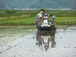 田植え体験(緑ヶ丘小・北郷小)_d0247484_1715547.jpg