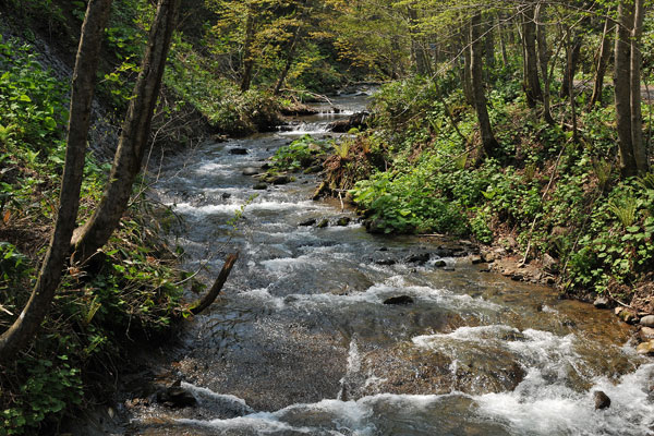 f0212586_1022037.jpg