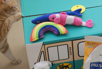 c0193788_9581366.gif