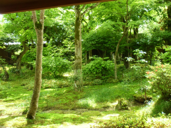 c0047589_2156122.jpg
