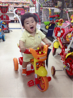 e0105492_10335624.gif