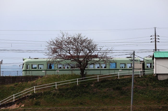 一畑電車　　南海色を撮る_f0174293_19373850.jpg