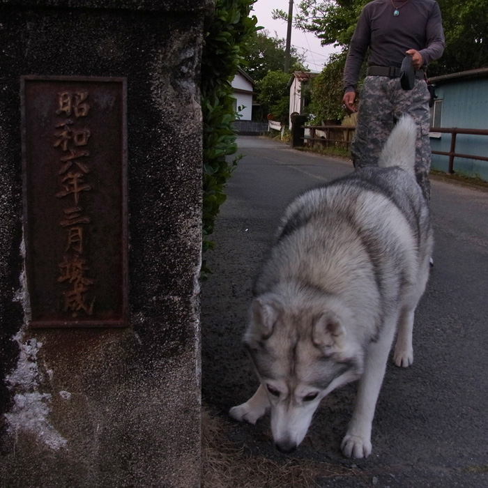タイムトラベル Time Travel_c0049299_11404643.jpg
