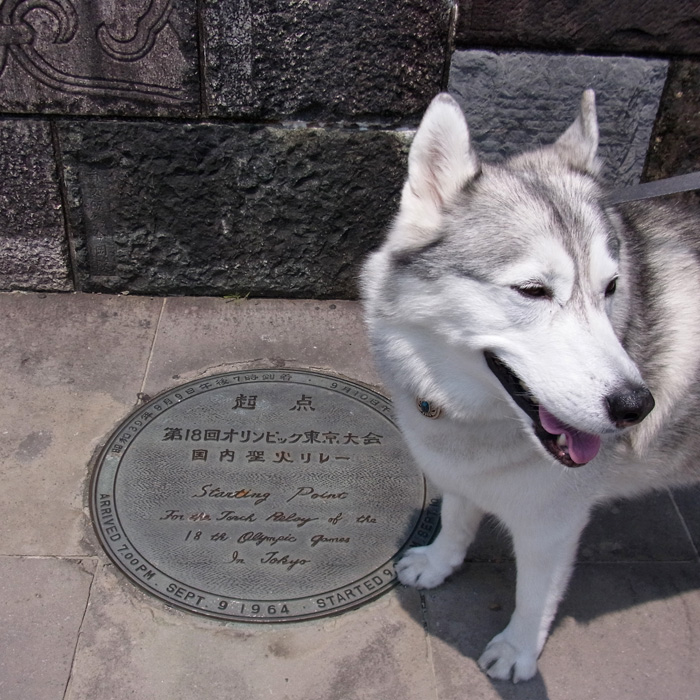 タイムトラベル Time Travel_c0049299_1147537.jpg