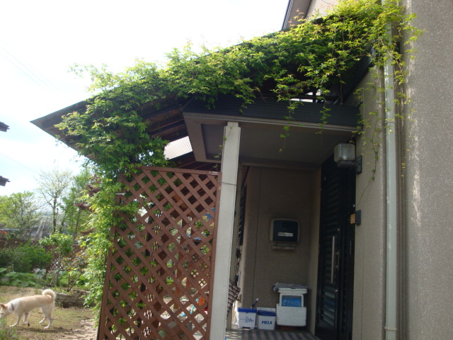 e0175905_23532592.jpg