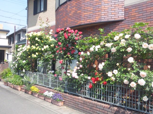 e0252905_5244631.jpg