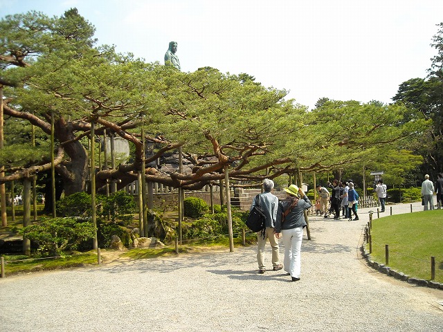 ちょっと違和感?を感じた兼六園_f0141310_7281431.jpg
