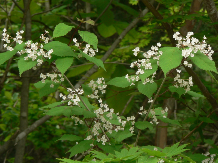 f0219710_13143779.jpg