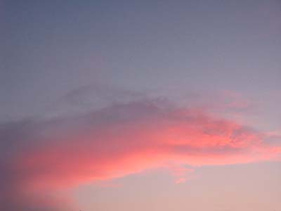 Pink Cloud_e0045113_22323151.jpg