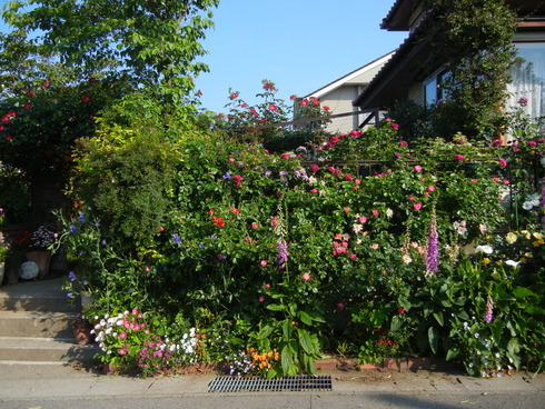 e0205713_20951.jpg