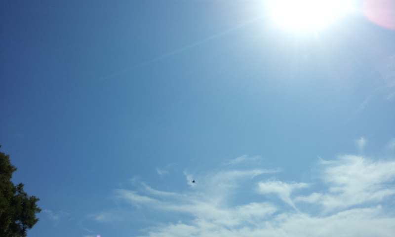 d0163916_1957851.jpg