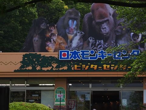 モンキーパーク_c0077531_23181723.jpg