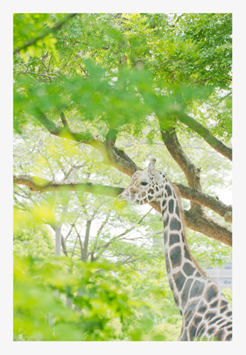 うれしいレビュー_b0127032_03719.jpg