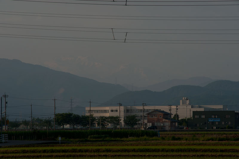 b0177233_51916.jpg