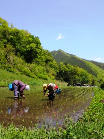 明るい農村~村の記憶_b0206037_17335839.jpg