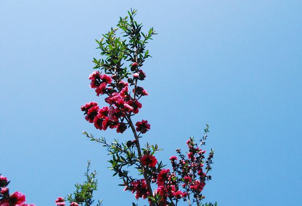 e0098241_1956312.jpg