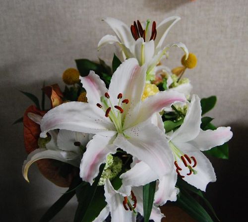 e0098241_20124373.jpg