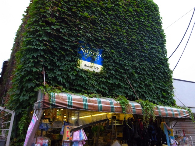 壁面緑化の好例？_d0057843_1841236.jpg