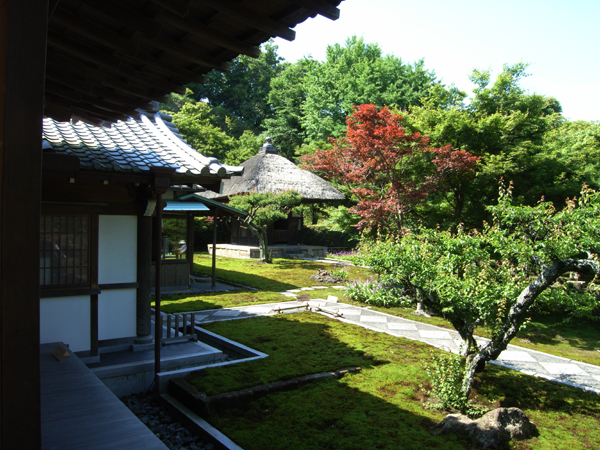 c0126647_16361126.jpg