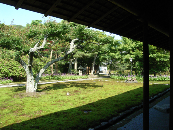 c0126647_16363466.jpg