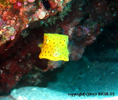 e0027447_18211540.jpg