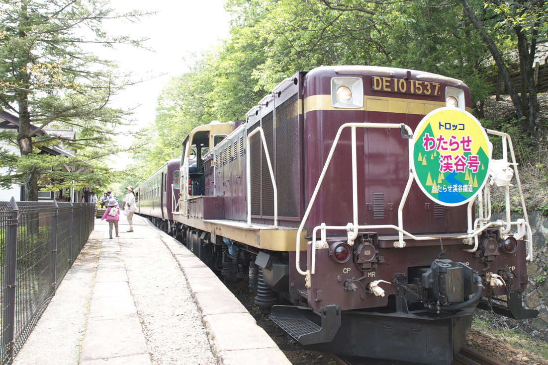 わたらせ渓谷鉄道 トロッコ列車1 足尾_e0127948_19135698.jpg