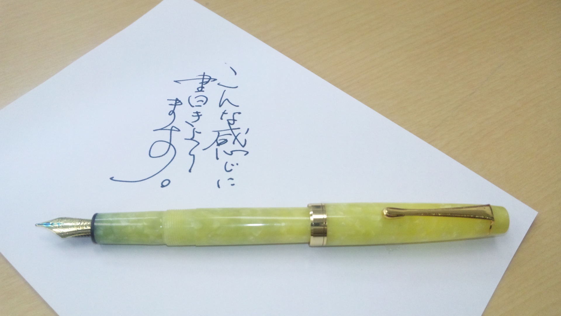 お気に入りの万年筆 ワンにゃんgoke屋敷 お気に入りの万年筆 ワンにゃんgoke屋敷