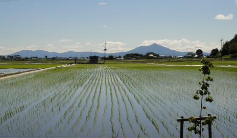 陶芸教室本校_e0109554_7574094.jpg