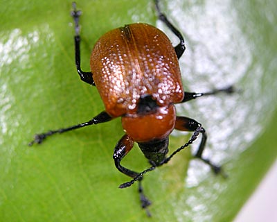 e0035757_191567.jpg